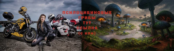 скорость Пересвет