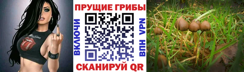 Галлюциногенные грибы мухоморы  MEGA ТОР  Игра 